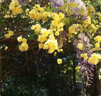 Bowral Road Bed and Breakfast - Holiday Jervis Bay