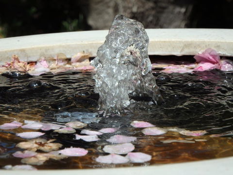 Bowral Road Bed And Breakfast - Holiday Jervis Bay 2