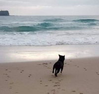 Breakers at Mudjimba Beach - Holiday Jervis Bay
