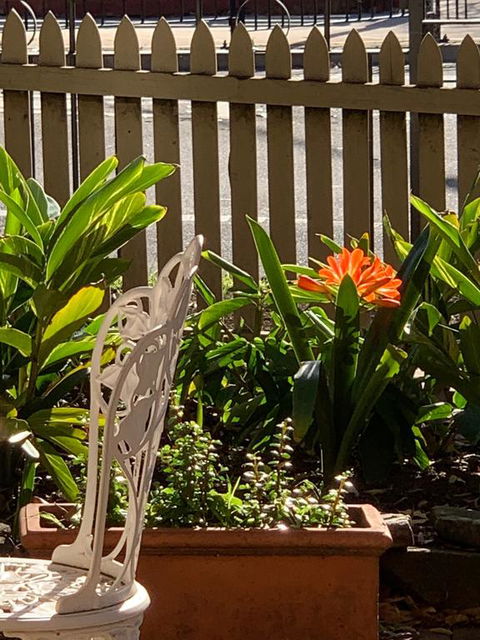 Burwood Bed And Breakfast - Holiday Jervis Bay 3