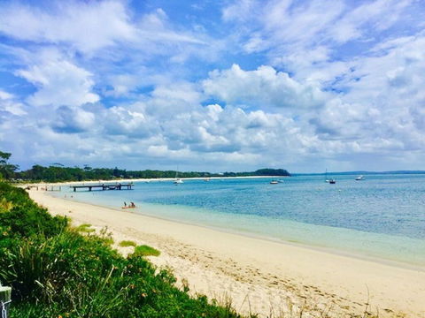 C A L M At Beautiful Shoal Bay - Holiday Jervis Bay 3