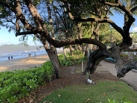 Cairns Palm Cove Studio - Holiday Jervis Bay 3