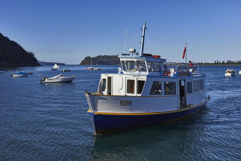 Cape Mackerel Cabin With Magic Palm Beach & Pittwater Views - Holiday Jervis Bay 2