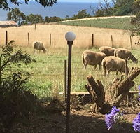 Cape View B and B - Holiday Jervis Bay