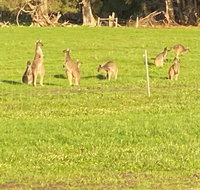 Carbunup Cottage - Holiday Jervis Bay