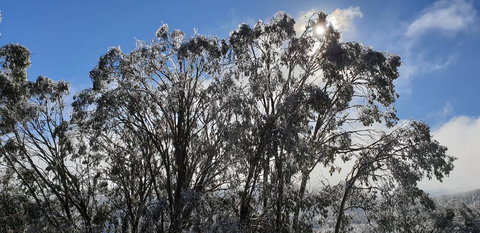 Cedarwood Apartments - Holiday Jervis Bay 1