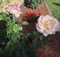 Central Tranquility - Holiday Jervis Bay