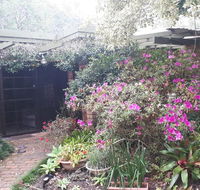 Charming country house close to Grafton - Holiday Jervis Bay