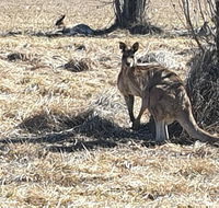 Clansman Motel - Holiday Jervis Bay