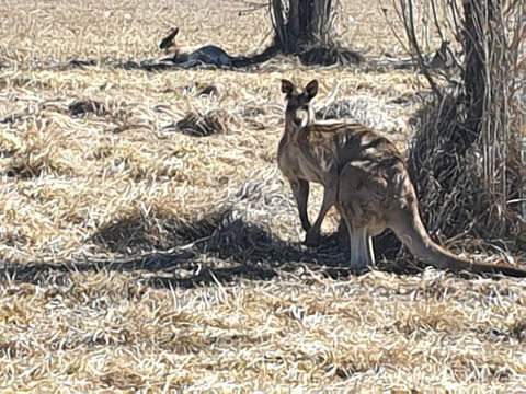 Clansman Motel - Holiday Jervis Bay 0