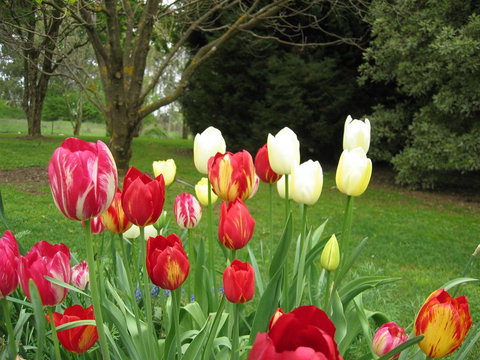 Clifton Gardens B&B - Holiday Jervis Bay 1