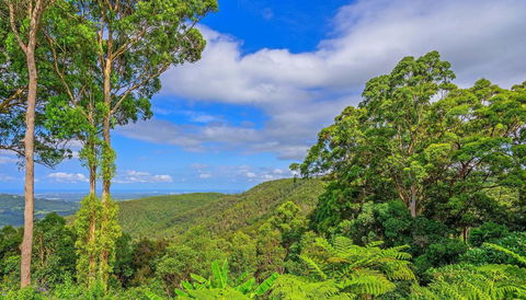 CLOUD 9 - Cliff Top Eagle Heights - Holiday Jervis Bay 3