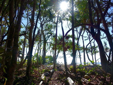 Coconut Beach House - Holiday Jervis Bay 2