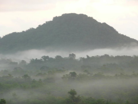 Coral Sea Views - Holiday Jervis Bay 1