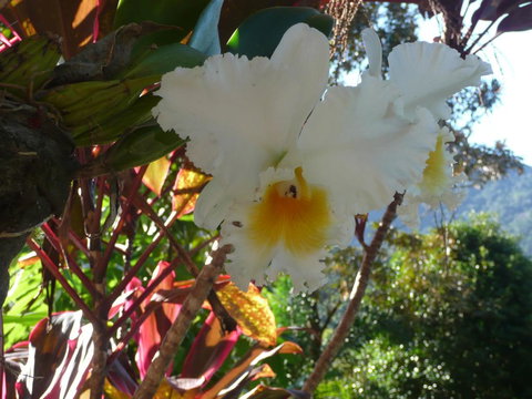 Coral Sea Views - Holiday Jervis Bay 2