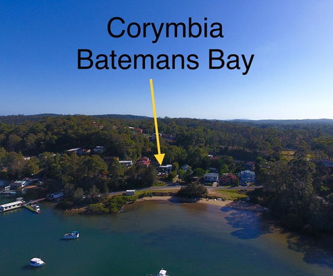 Corymbia Batemans Bay - Holiday Jervis Bay 1