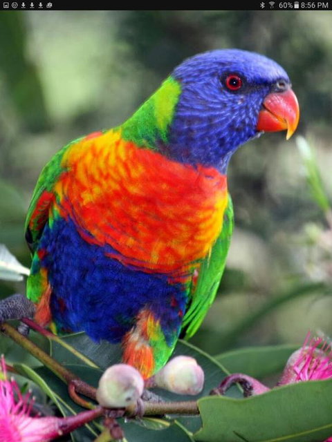 Cottage By The Bay - Holiday Jervis Bay 3