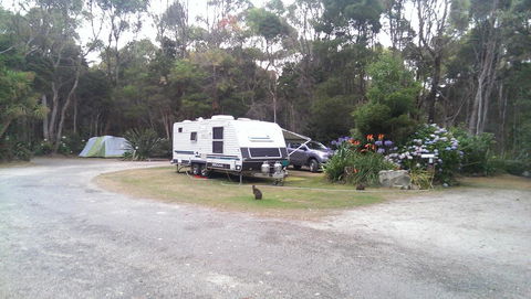 Crayfish Creek Van & Cabin Park - Holiday Jervis Bay 0