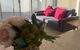 Delicate And Peaceful Bundoora Townhouse 12-R3 - thumb 1