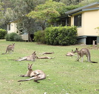 Depot Beach Cabins - Holiday Jervis Bay
