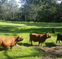 Dingley Dell - Holiday Jervis Bay