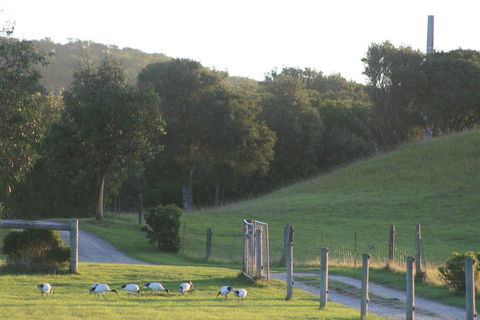 Driftwood Villas - Holiday Jervis Bay 1
