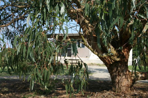 Driftwood Villas - Holiday Jervis Bay 3