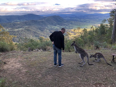 Eagleview Resort - Holiday Jervis Bay 2