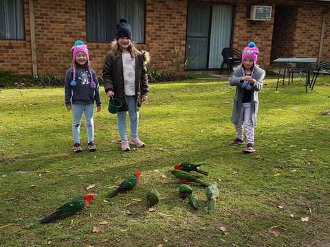 Eildon Parkview Motor Inn - Holiday Jervis Bay 1