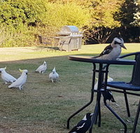 Eildon Parkview Motor Inn - Holiday Jervis Bay