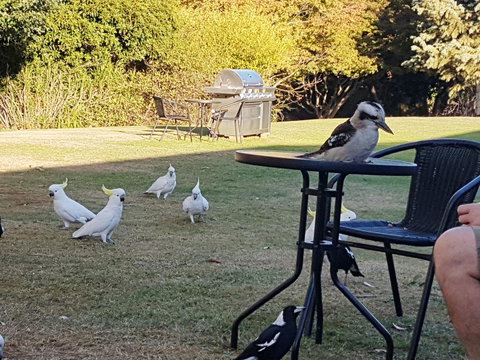 Eildon Parkview Motor Inn - Holiday Jervis Bay 0