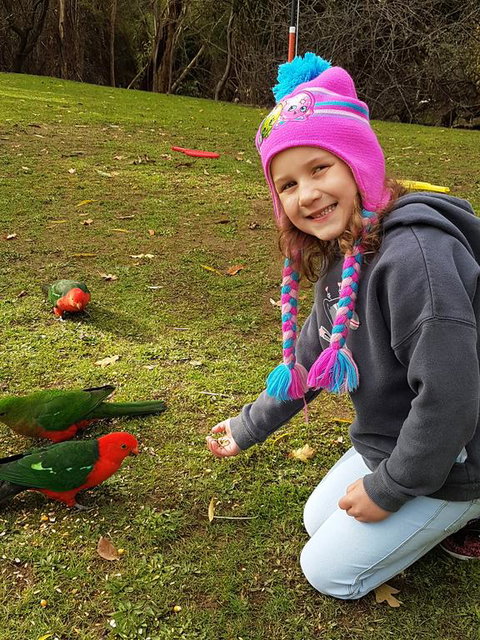 Eildon Parkview Motor Inn - Holiday Jervis Bay 3