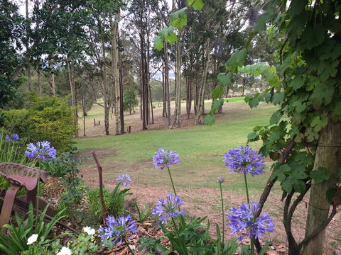 Elfin Hill Vineyard Accommodation - Holiday Jervis Bay 2