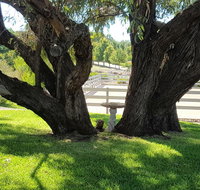 Farm Stay Studio - Holiday Jervis Bay