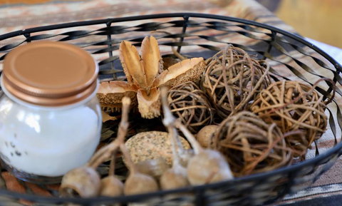 Fig Tree Cabin - Holiday Jervis Bay 1
