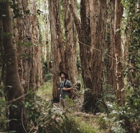 Habitat Noosa - Holiday Jervis Bay