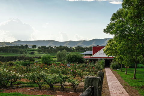 Hanging Tree Wines - Holiday Jervis Bay 0