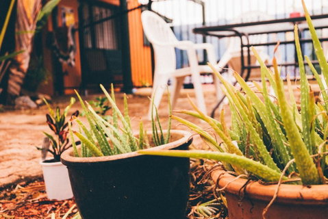 JJs Backpackers Hostel - Holiday Jervis Bay 2