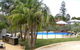 Koala Tree Motel - thumb 0