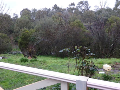 Mandall Avenue - Holiday Jervis Bay 1