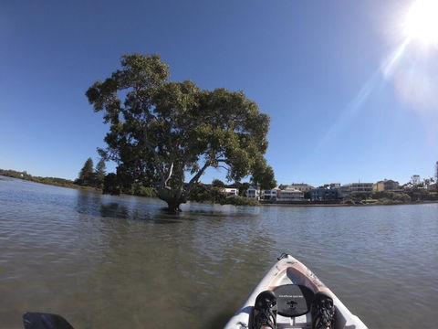 Moreton Bay Beach Lodge - Holiday Jervis Bay 1
