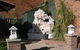 Mt Kuring-Gai Motel - thumb 0