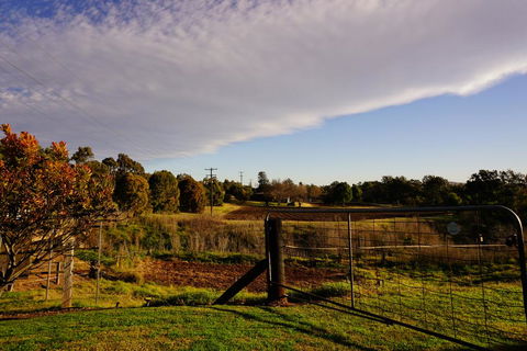 Muswellbrook Northside B&B - Holiday Jervis Bay 3