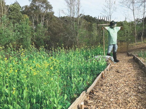 Mylor Farm, Adelaide Hills - Holiday Jervis Bay 1