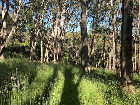 Mylor Farm, Adelaide Hills - Holiday Jervis Bay 0