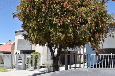 Central Executive Townhouse - Holiday Jervis Bay 9