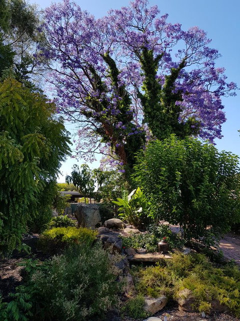 Jacaranda Hideaway Bed & Breakfast - Holiday Jervis Bay 10