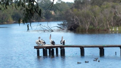 Jacaranda Hideaway Bed & Breakfast - Holiday Jervis Bay 18