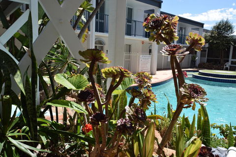 Seashore Memories - Sleeps 3 - Holiday Jervis Bay 14