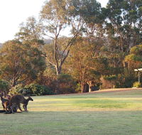 Riverside Retreat Chalets Walpole - Holiday Jervis Bay
